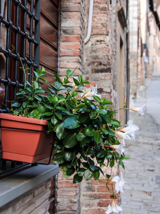 Casa Armanni - La Tua Casa Di Pietra Lejlighed Gubbio Eksteriør billede